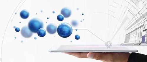 網絡接入業務與服務 招商引資的新突破口